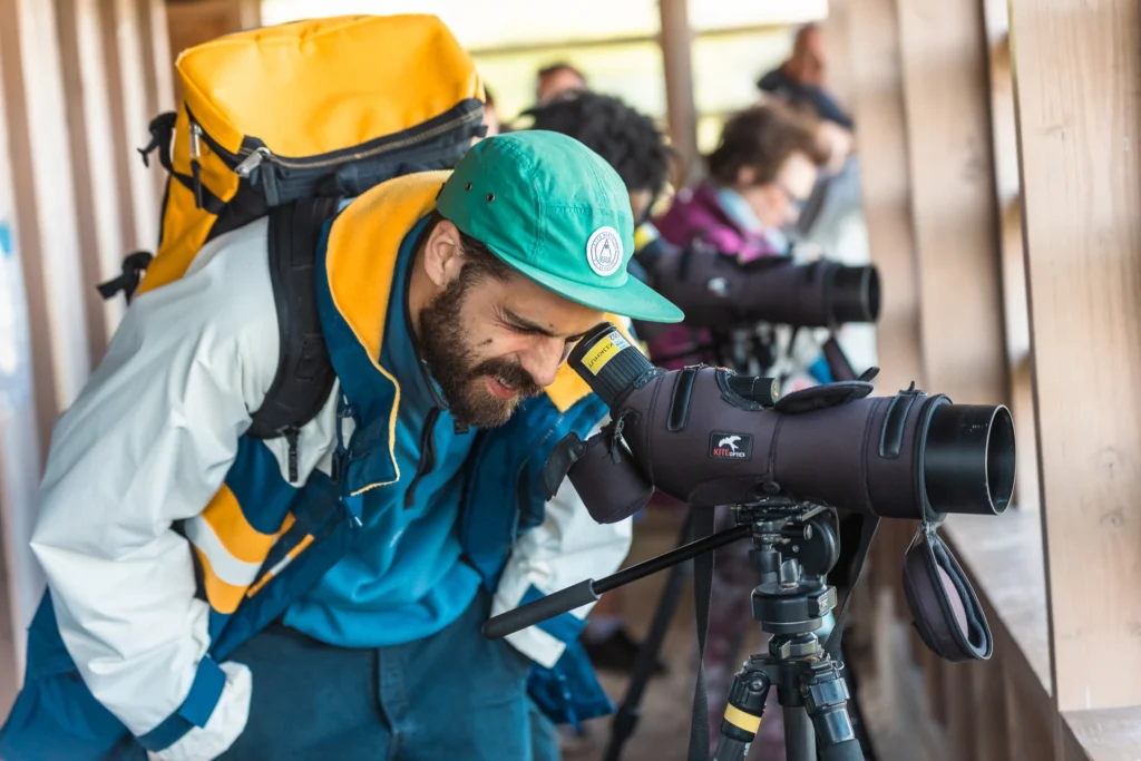 Atelier collectif autour d'une activité d'observation en nature
